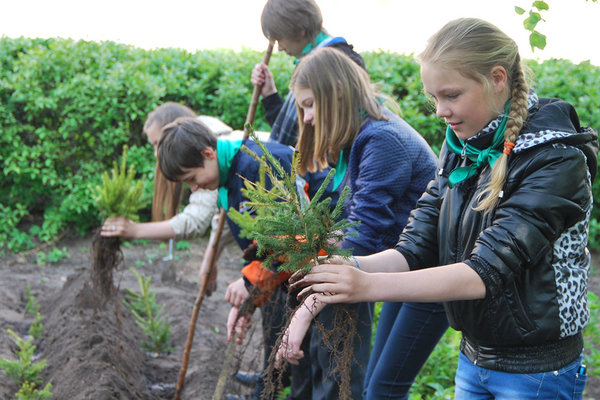 Интерактивную доску и другие призы смогут выиграть школьники на «Неделе леса»