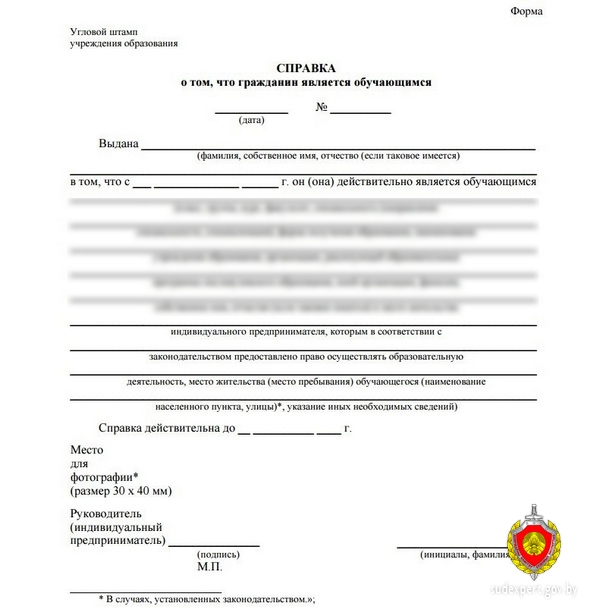 Могилевчанка изготавливала и сбывала поддельные справки учреждения образования