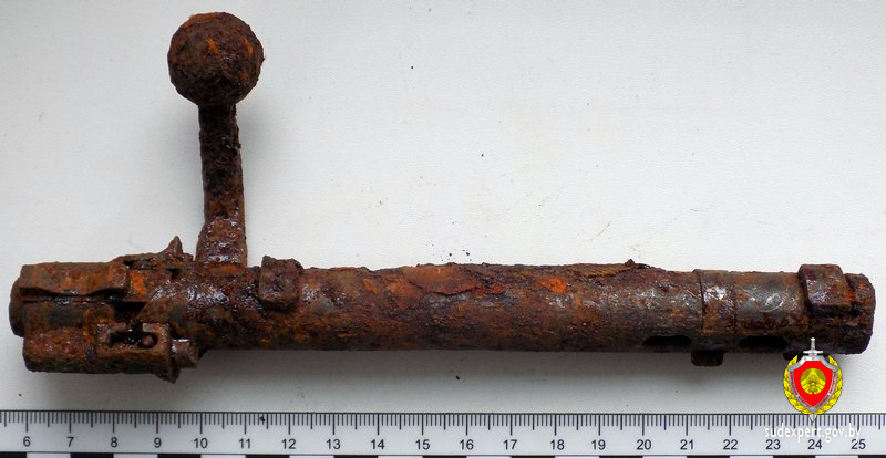 Затвор к карабину «Маузер» и около 150 патронов изъяли у жителя Славгородского района