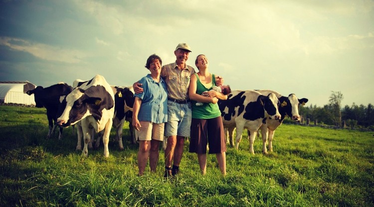 17 семьям оказано содействие в переселении и трудоустройстве в Могилевской области