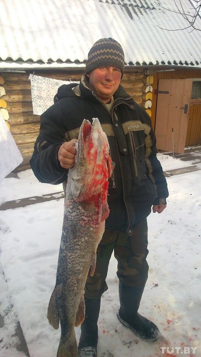 Рыбак в Горецком районе поймал огромную щуку