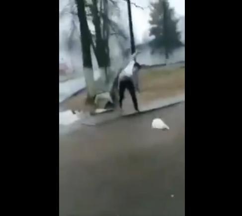В Костюковичах парень бросил на асфальт кота – милиция проводит проверку