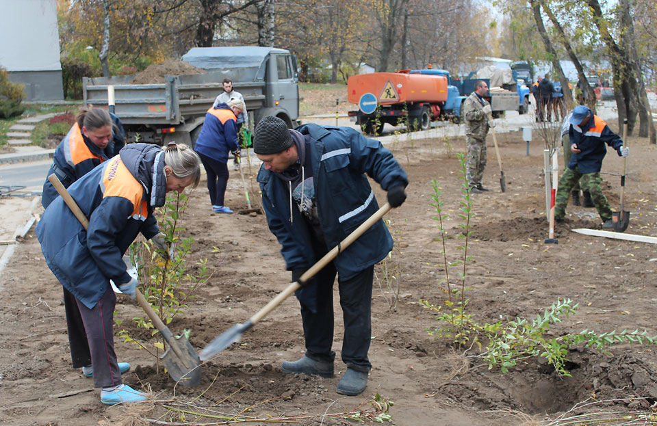 Более 3,3 тысячи зеленых насаждений высадили во время субботника  в Могилеве
