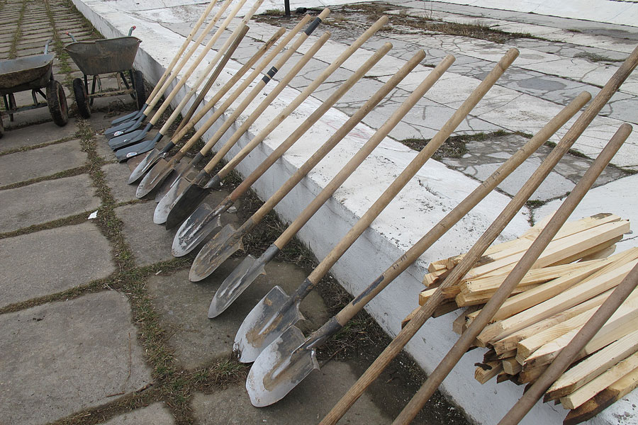 Осенний месячник по наведению порядка проходит в Могилеве