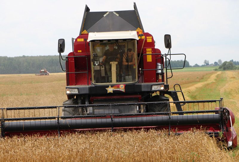 Белыничский район первым в Могилевской области завершил уборку зерновых и зернобобовых культур