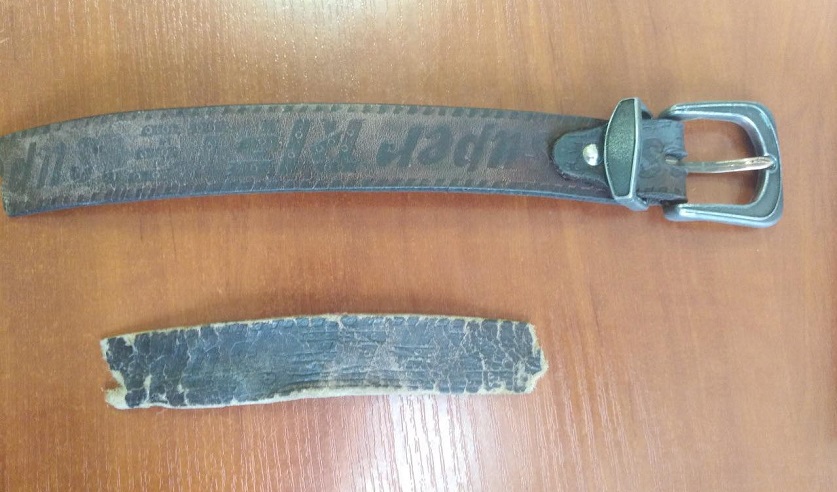 В Могилеве направлено в суд дело об истязании малолетних детей