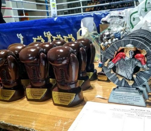 Боксеры Могилевщины заняли первое  место в медальном зачете на открытом республиканском турнире им. Генриха Ривкина