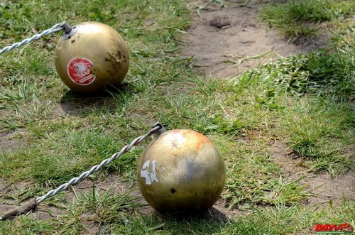 Спортсмены Могилевщины завоевали награды на международном турнире по легкоатлетическим метаниям