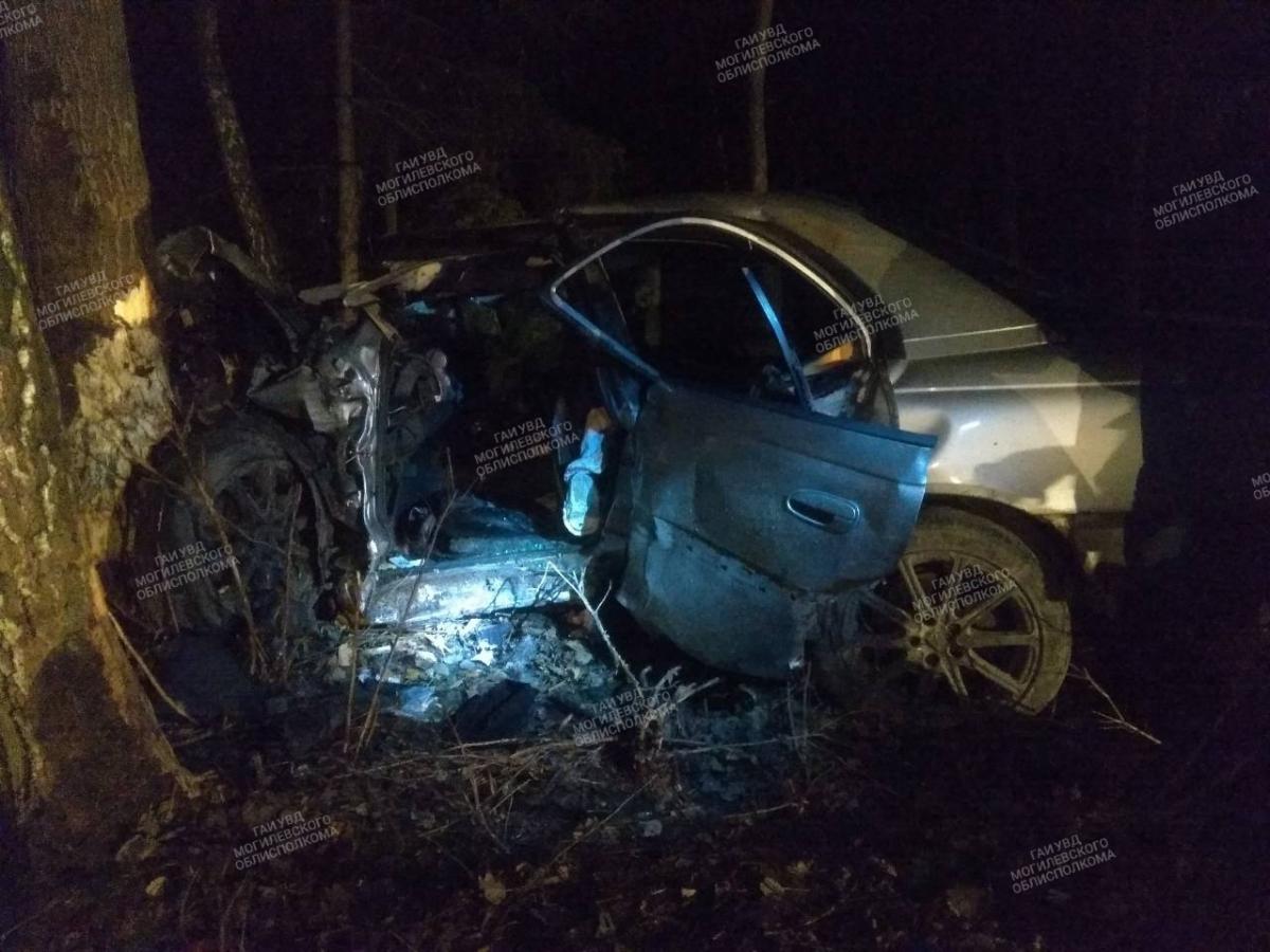 «Опель» в Могилевском районе столкнулся с лосем, пострадал водитель