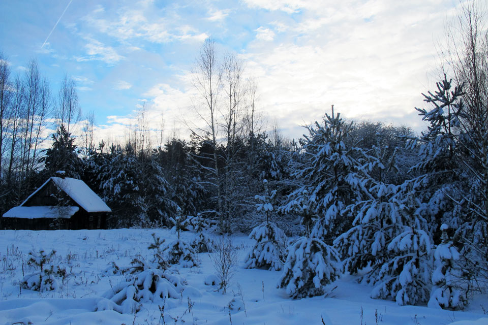 Погода на выходные: ночью до -18 градусов и кратковременный снег