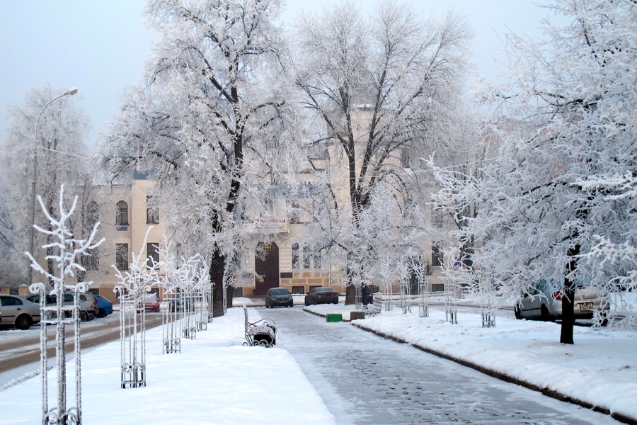 Февраль начнется с неустойчивой погоды в Могилевской области