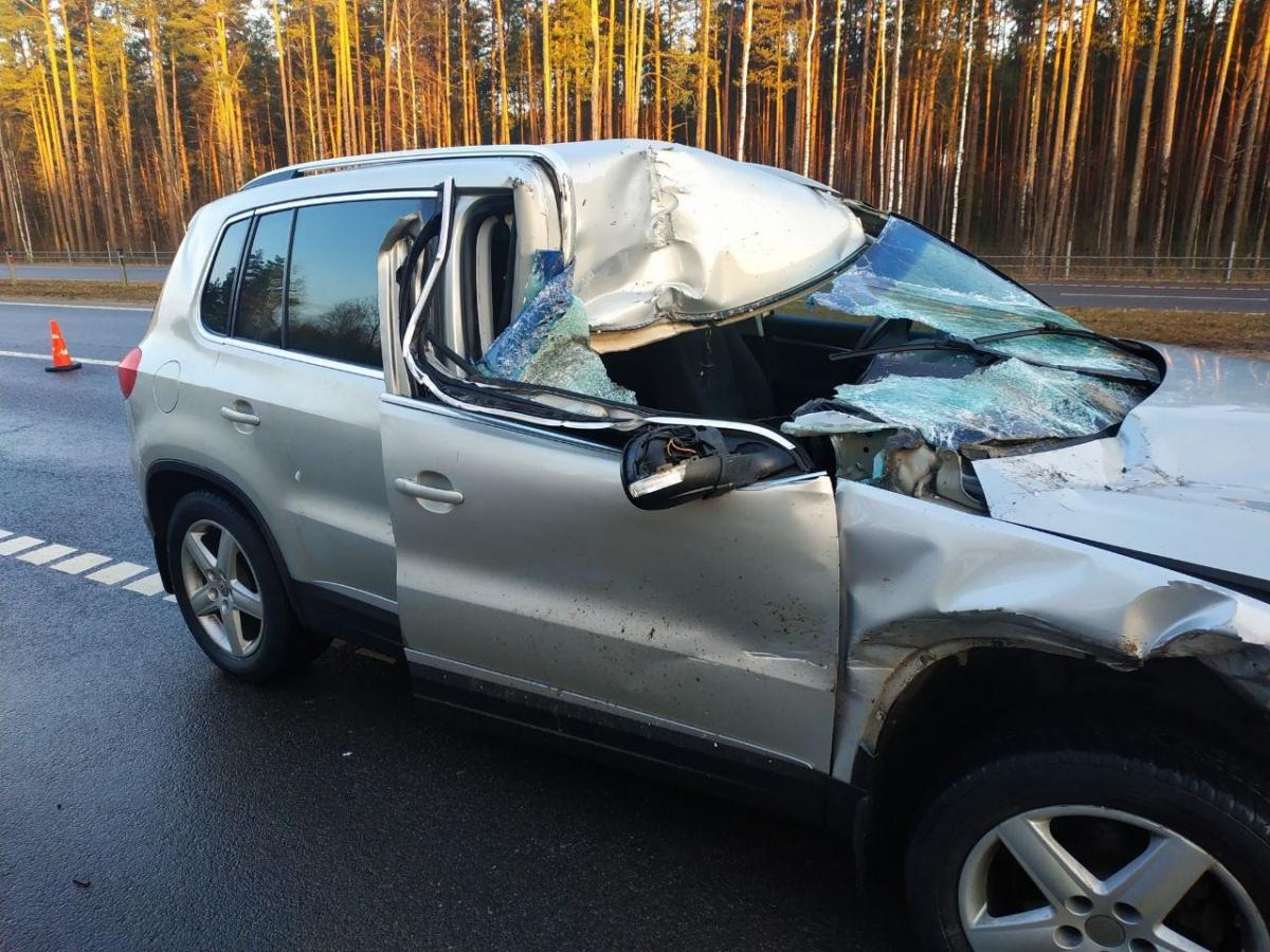 Могилевчанка уснула за рулем «Фольксвагена» и столкнулась с «Мерседесом», пострадал пассажир