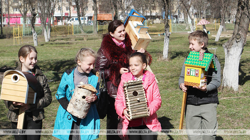 В Могилевском парке появится жилой квартал для пернатых