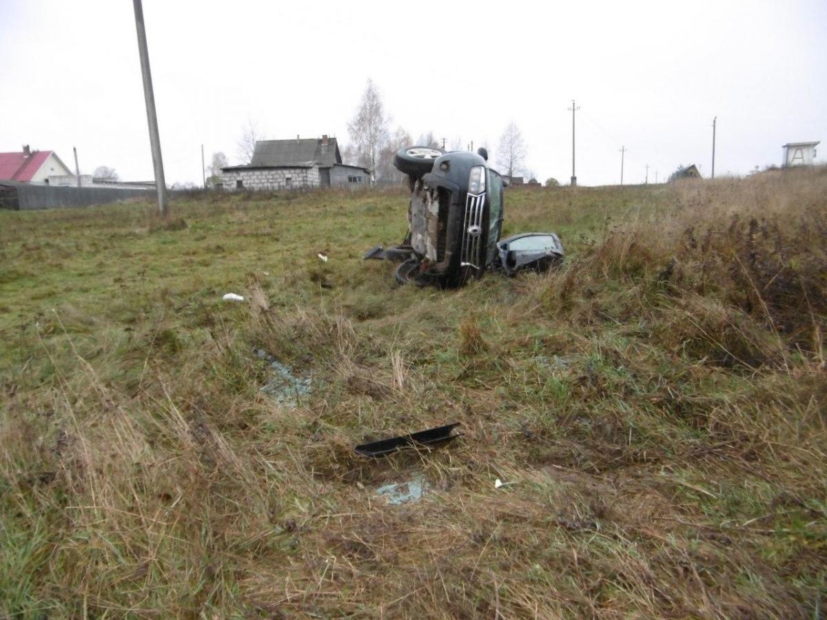 Renault опрокинулся в Дрибинском районе. Фото