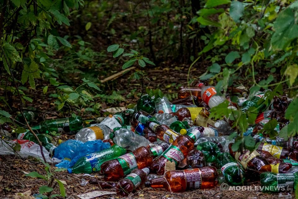 Более 1 тысячи несанкционированных свалок выявили в Могилевской области в 2019 году