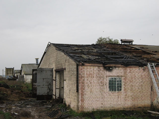 В Климовичском районе горела ферма. Эвакуированы 146 телят