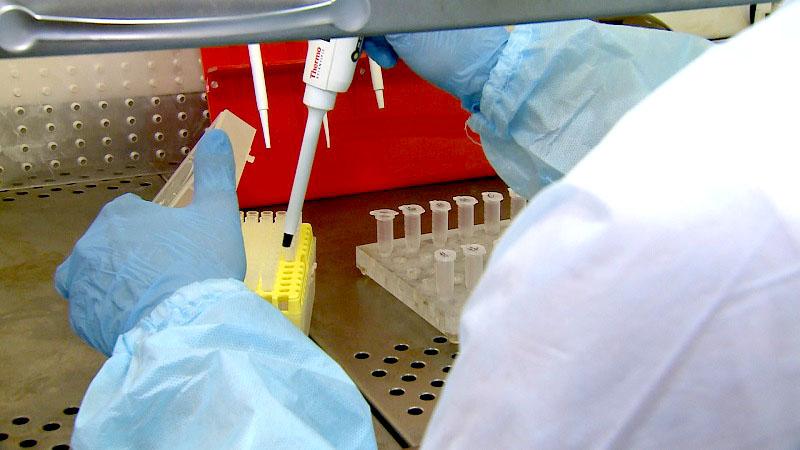 Коронавирус в Беларуси. Ситуация на 25 августа. Официальная статистика