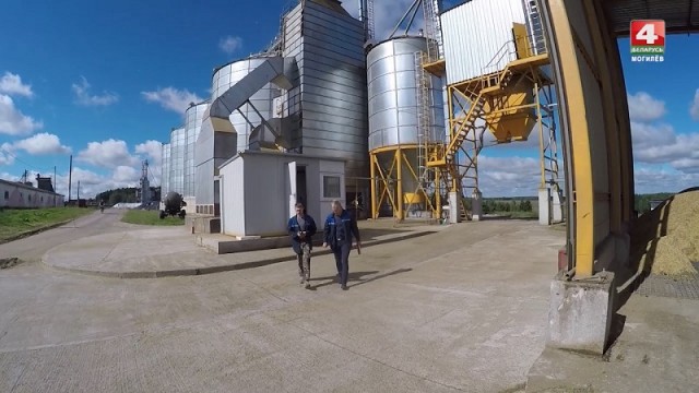 Около 500 комплексов сушат зерно в Могилевской области. Видео