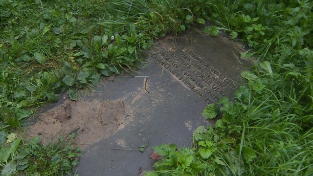 Mогилевчанина подозревают в краже надмогильной плиты  Грум-Гржимайло