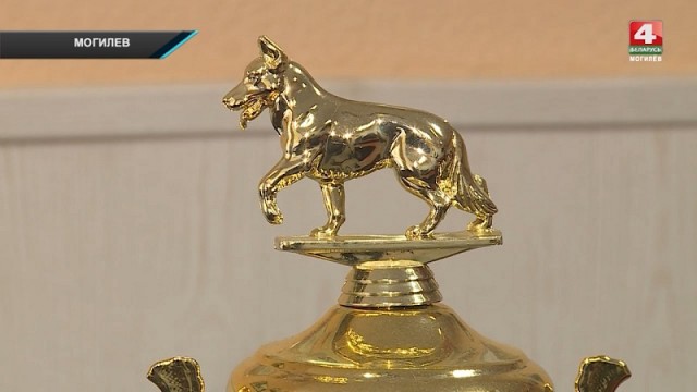 Овчарка из Мстиславля - одна из лучших служебных собак Беларуси. Видео