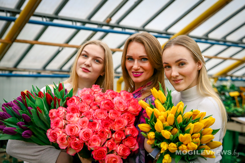 Более 20 тысяч цветов готовит "Могилевзеленстрой" к 8 марта. Фото