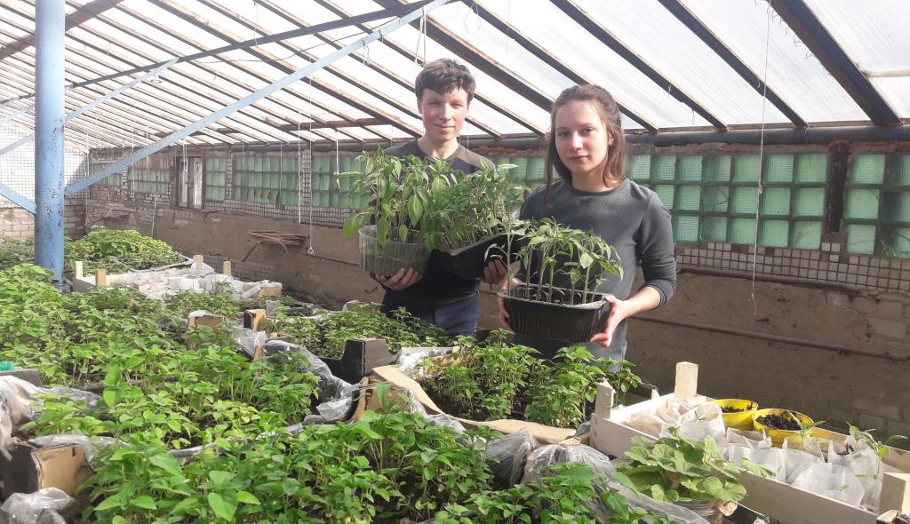Осваивают профессию овощевода и внедряют экологические инициативы в чаусской СШ №2
