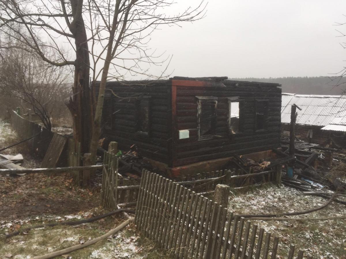 Житель Белыничского района получил ожоги при пожаре. Фото