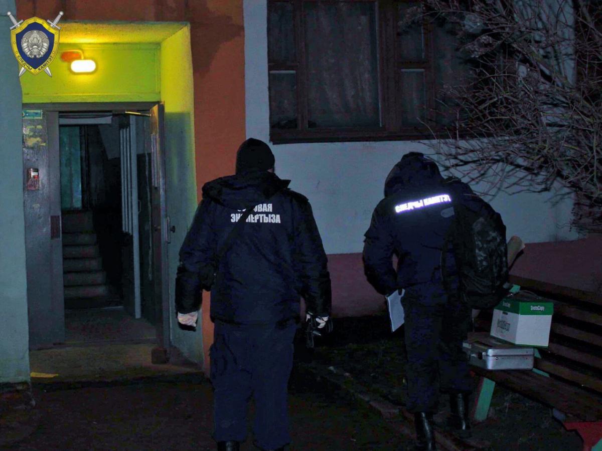 Во дворе дома в Бобруйске обнаружили убитую женщину