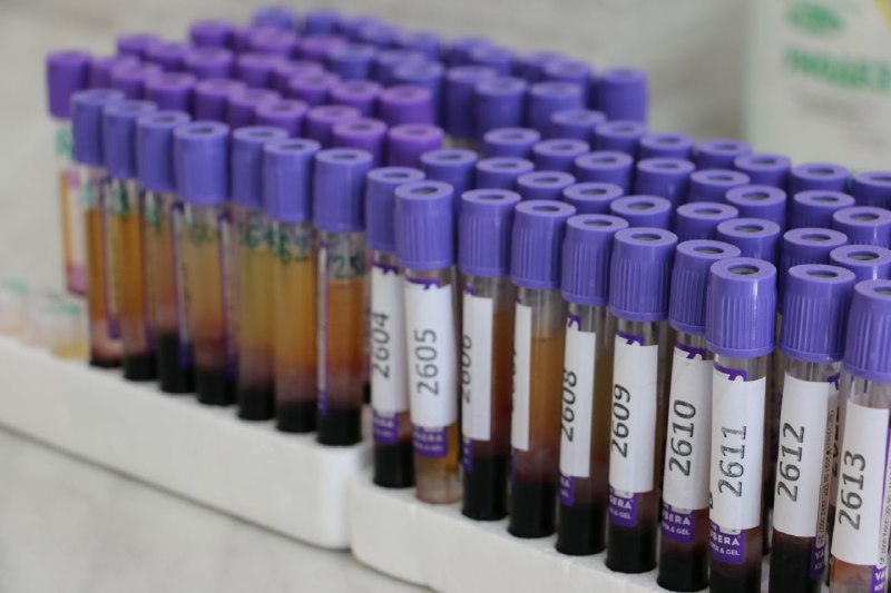 Коронавирус в Беларуси. Ситуация на 13 ноября. Официальная статистика