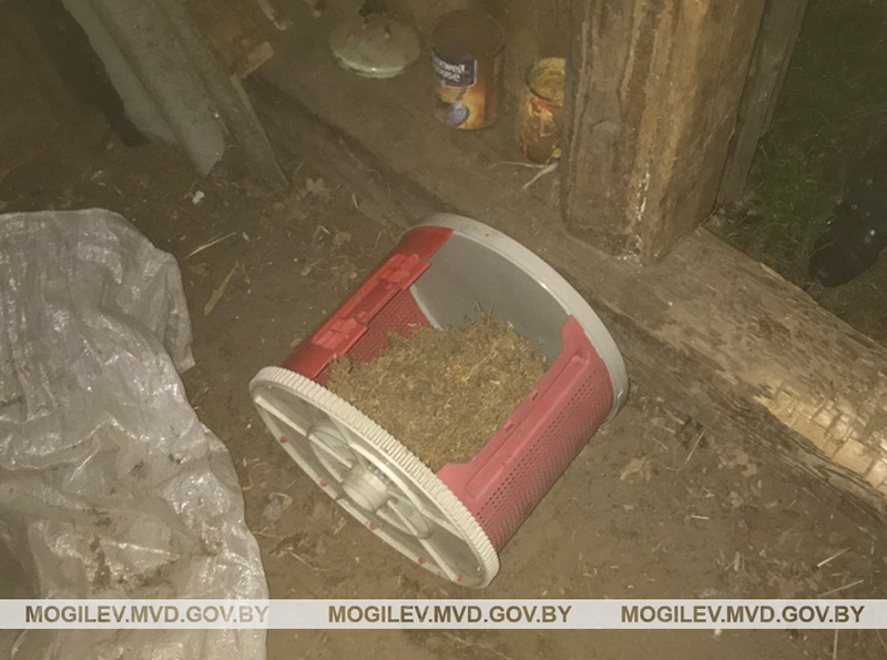 У жителя Глусского района изъяли марихуану