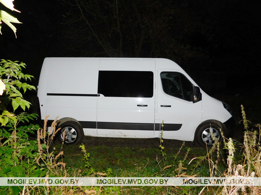 14 фактов краж крупного рогатого скота и лошадей зарегистрировано в Могилевской области