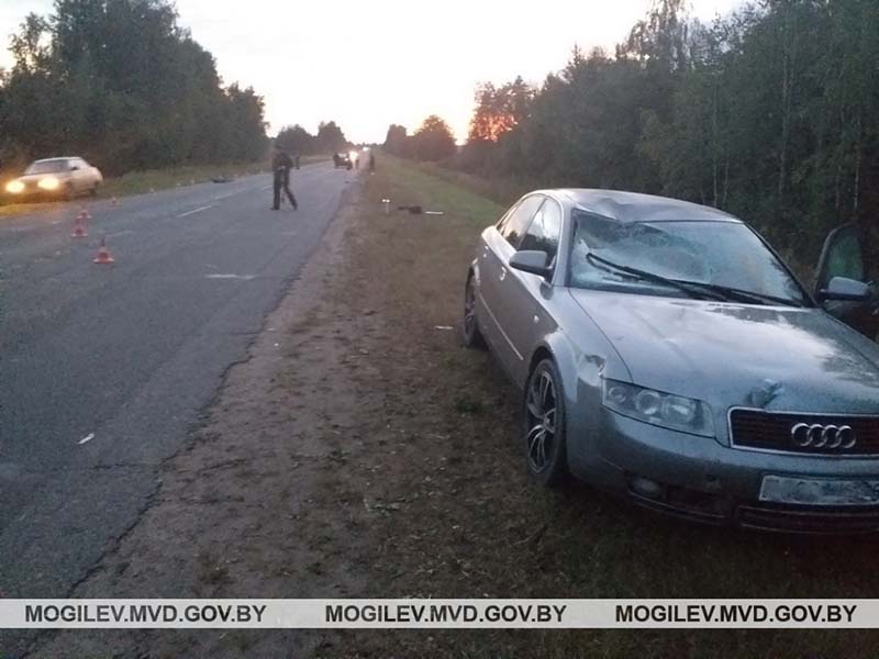 В Кличевском районе водитель Audi A4 насмерть сбила велосипедистку