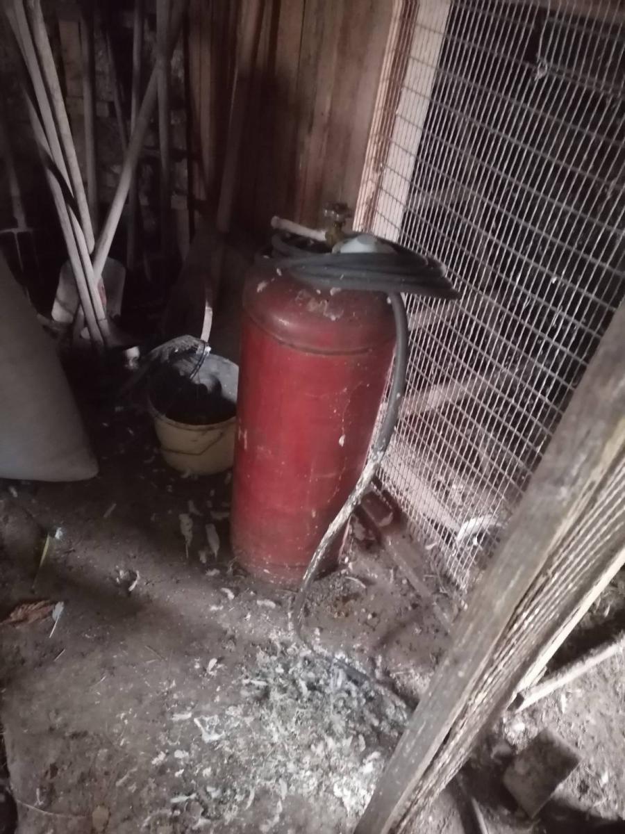 Могилевчанин получил тяжелые ожоги – подогревал еду для собаки. Фото