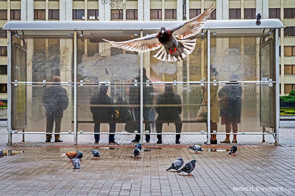 Погода: в середине недели сильный ветер, в воскресенье ночью до -9°С