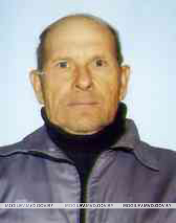 Пропавшего пенсионера ищут в Климовичском районе