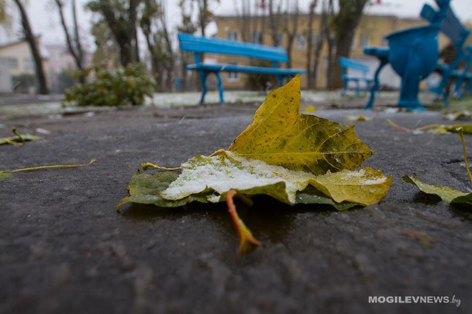Мокрый снег и «минус» ночью ожидается в первой половине следующей недели в Могилевской области