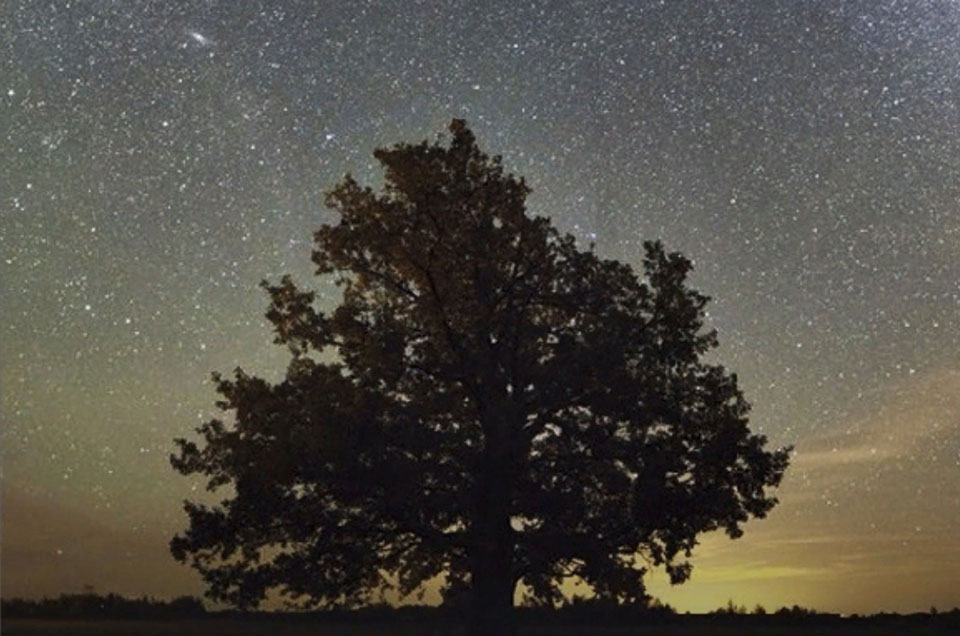 Встреча с автором книги «Между небом и землей: этноастрономия» Тимофеем Авилиным состоится в Могилеве