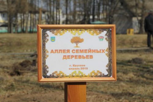 Акции в рамках проекта «Благоустроим свою малую родину» пройдут в Круглянском районе