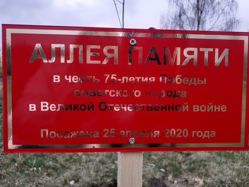 «Аллея памяти» в честь 75-летия  Великой Победы высажена  в Осиповичах