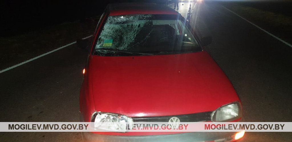 Volkswagen Golf  в Шкловском районе насмерть сбил пешехода