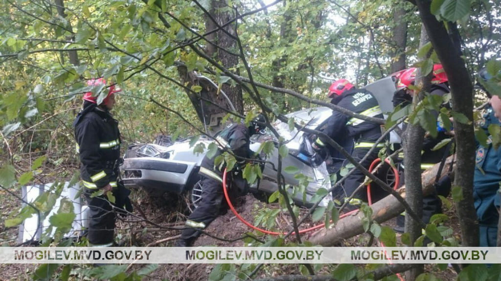 Audi в Бобруйском районе врезался в придорожные деревья – водитель и пассажирка погибли