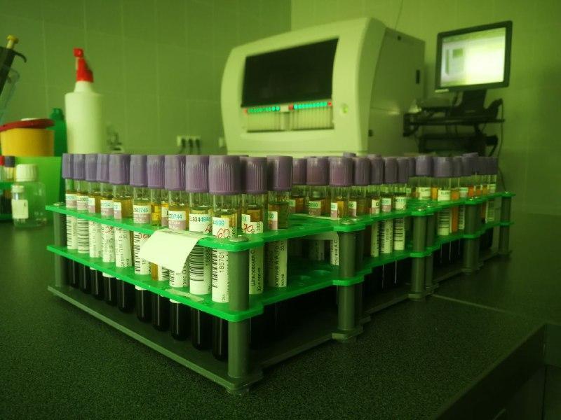 Коронавирус в Беларуси. Ситуация на 13 декабря. Официальная статистика