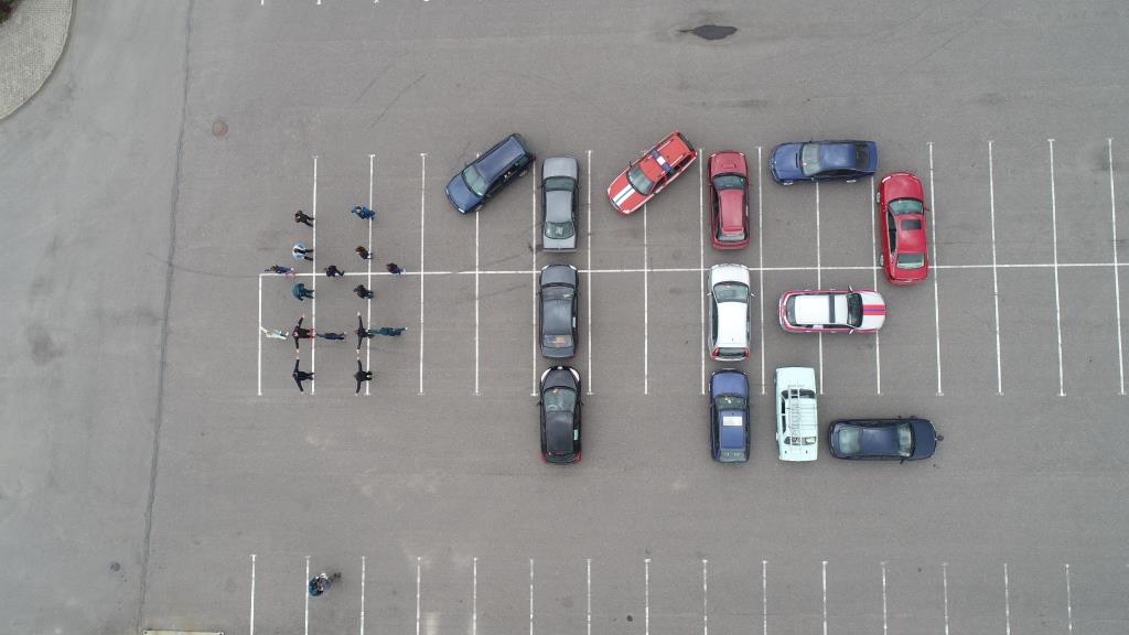 Спасатели и автомобилисты провели автопробег по Могилевскому району и посадили деревья. Фото