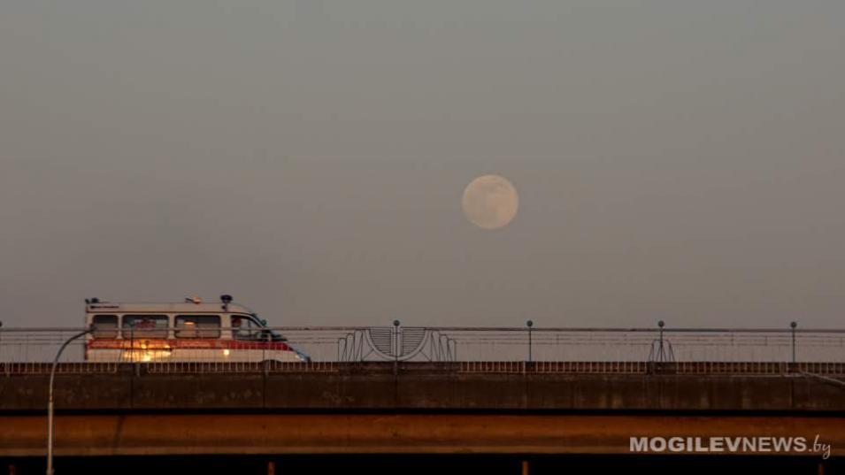 Коронавирус в Беларуси. Ситуация на 5 августа. Официальная статистика