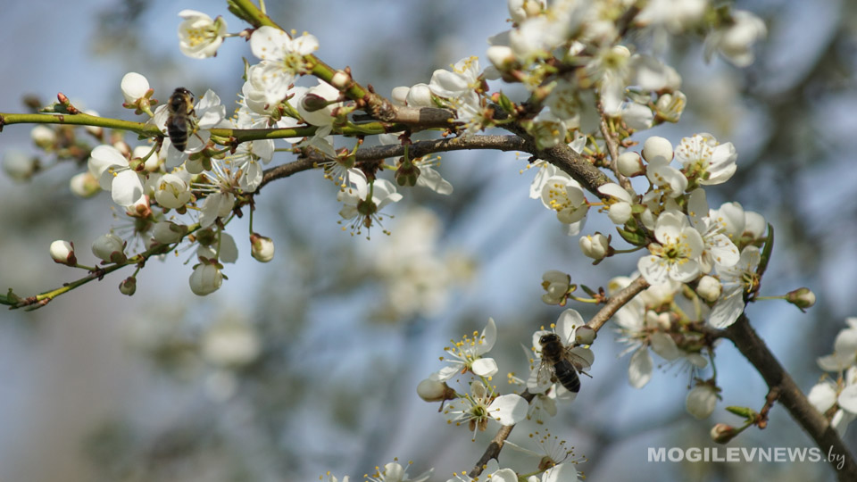 Изменения мая: повышаются некоторые виды пенсий и детские пособия