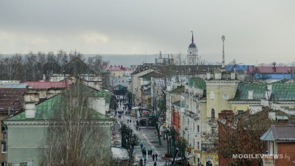 Число самозанятых в Могилевской области за год выросло почти на 13%