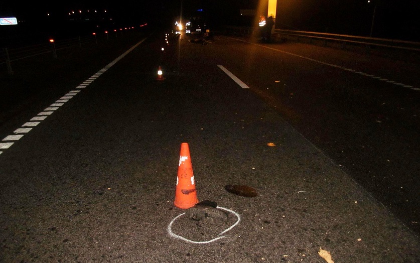Завершено расследование ДТП в Бобруйском районе, где на пешехода наехали два автомобиля