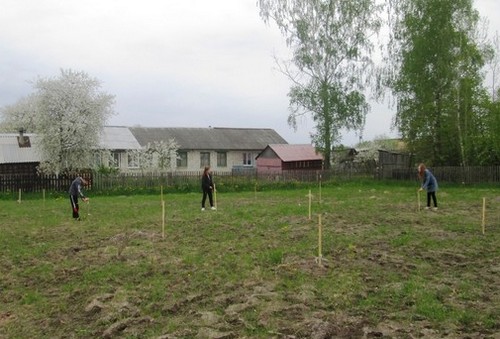 Проект «Зеленая экономика сада» реализовали в Кличевском районе