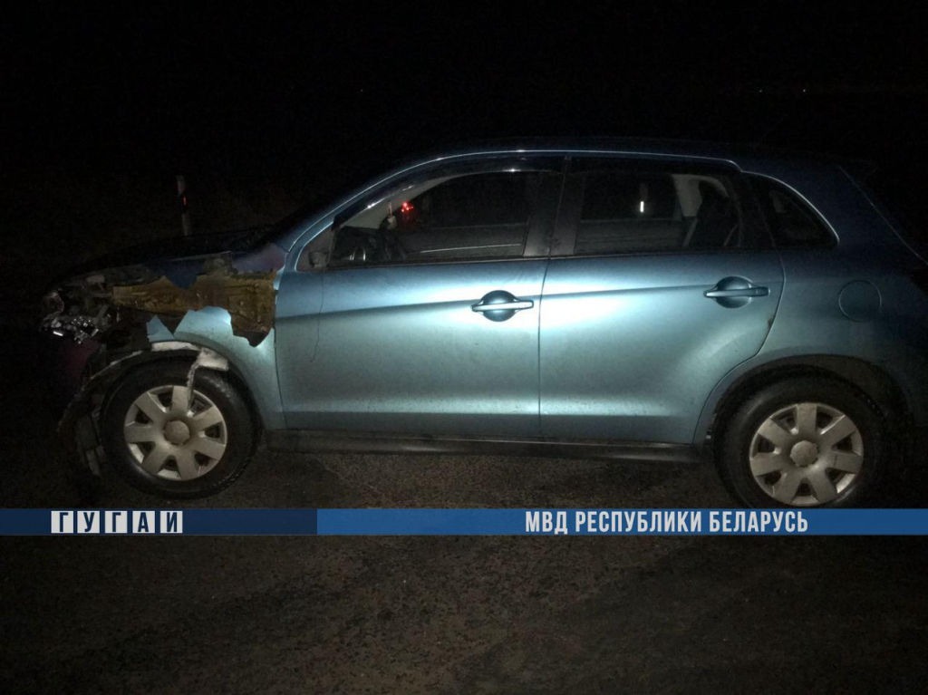 Автомобиль Mitsubishi под Дрибином насмерть сбил женщину