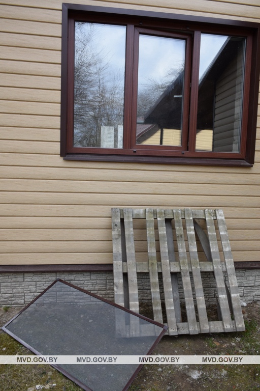 Вор в Могилеве испугался сигнализации и спрятался в соседнем дворе - его нашел служебный пес